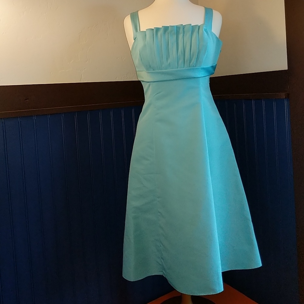 David's Bridal cocktail dress